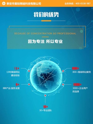 星际网络 探索网络推广公司的行业格局与未来科技趋势